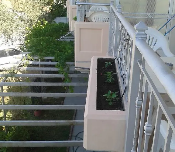 Apartment Golden Sun